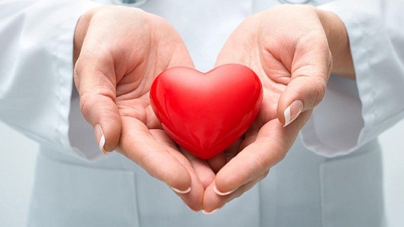 Tinh bột nghệ giúp cải thiện sức khỏe tim mạch