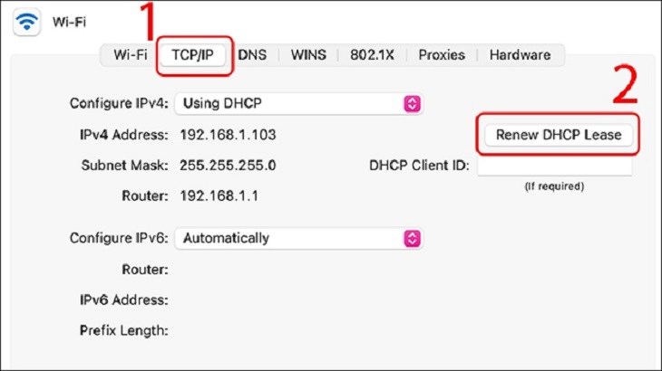 Bạn tiếp tục chọn mục tab TCP/IP và chọn Renew DHCP Lease để thay đổi IP