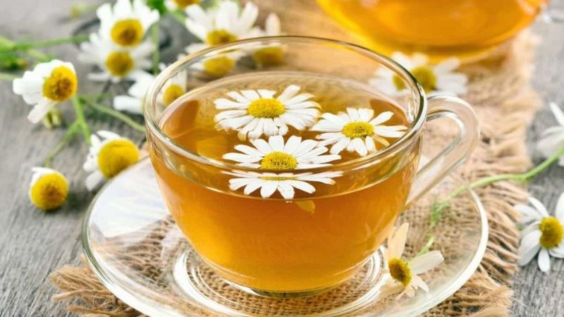 Uống trà hoa cúc để cải thiện triệu chứng đầy bụng