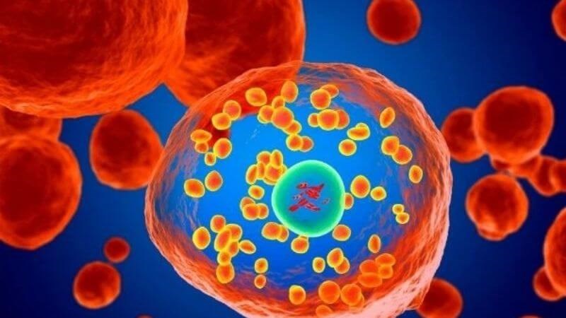 Giảm dự trữ sắt có hại trong gan Hiến máu giúp giảm dự trữ sắt có hại trong gan