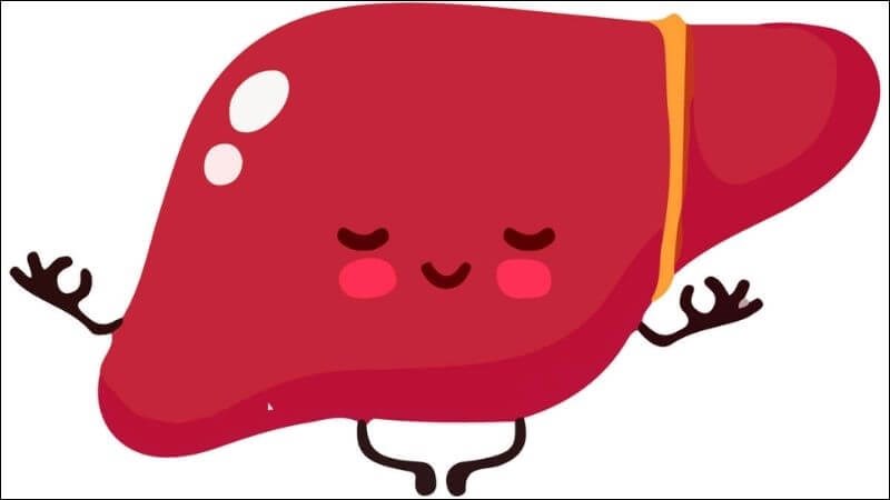 Giúp gan khỏe mạnh Hiến máu giúp thải bớt các chất độc hại giúp gan khỏe mạnh