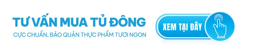 TỦ ĐÔNG