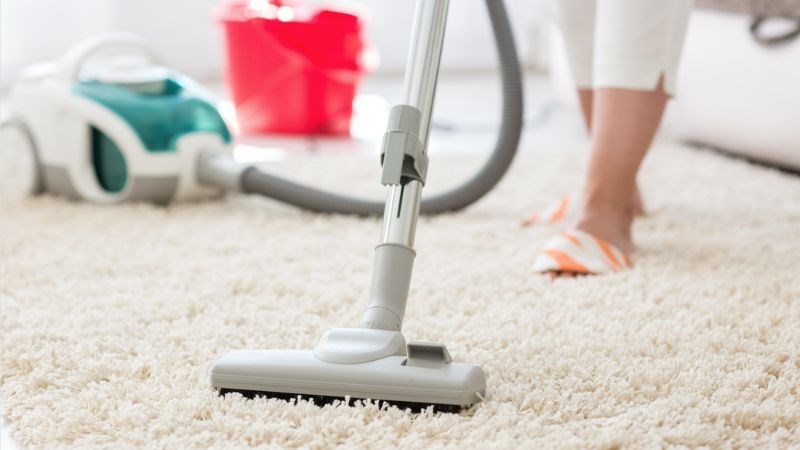 Hút bụi và làm vệ sinh xung quanh để loại bỏ con ghẻ trong môi trường