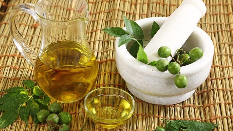 Tinh dầu neem có chứa một lượng lớn chất chống ký sinh trùng azadirachtin
