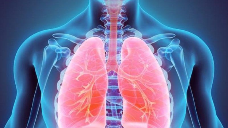 Viêm phổi là biến chứng có thể gặp do bạch hầu