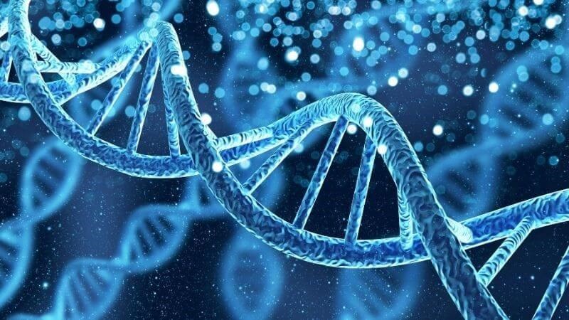 Di truyền cũng là một yếu tố ảnh hưởng đến dậy thì ở nam giới
