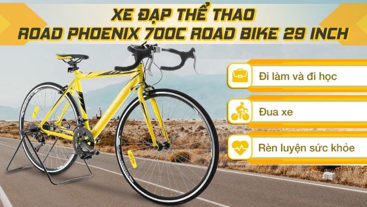 Xe Đạp Thể Thao Road Phoenix 700C ROAD BIKE 29 inch thích hợp cho nhiều hoạt động trong đời sống như đi học, đi làm, đạp xe rèn luyện sức khỏe hay thi đấu chuyên nghiệp