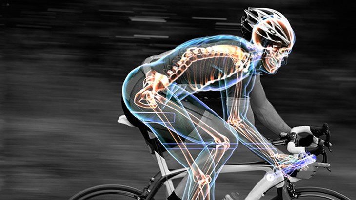 Khi đạp xe, phần khớp gối được tác động sâu giúp xương khớp luôn được hoạt động linh hoạt