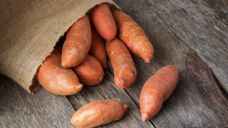Khoai lang là một món ăn quen thuộc, dễ tìm và chứa khá nhiều biotin