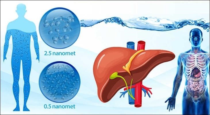 Các phân tử nước siêu nhỏ có trong nước ion kiềm giúp thanh lọc cơ thể hiệu quả