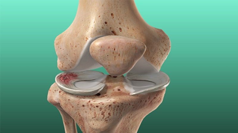 Glucosamine giúp tăng sản sinh sụn và bảo vệ sụn khớp