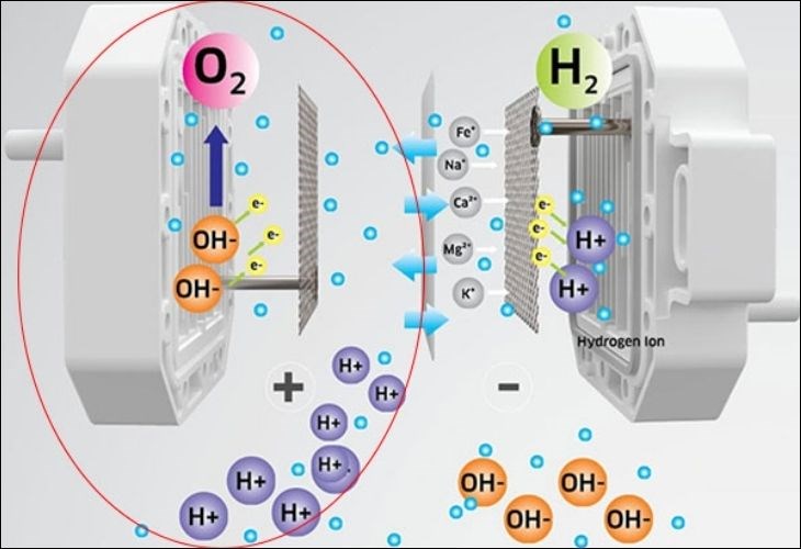 Để tạo nước ion kiềm sẽ phải qua quá trình oxy hóa và khử xảy ra trong hai khoang riêng biệt