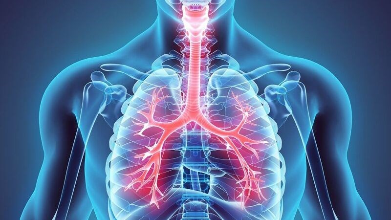 CoQ10 giúp cải thiện chứng năng phổi ở người mắc COPD