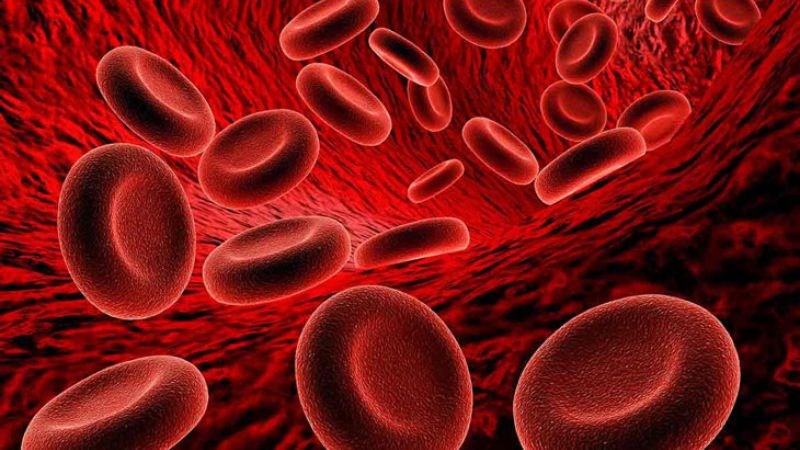 Vitamin B6 tham gia tổng hợp hemoglobin của hồng cầu