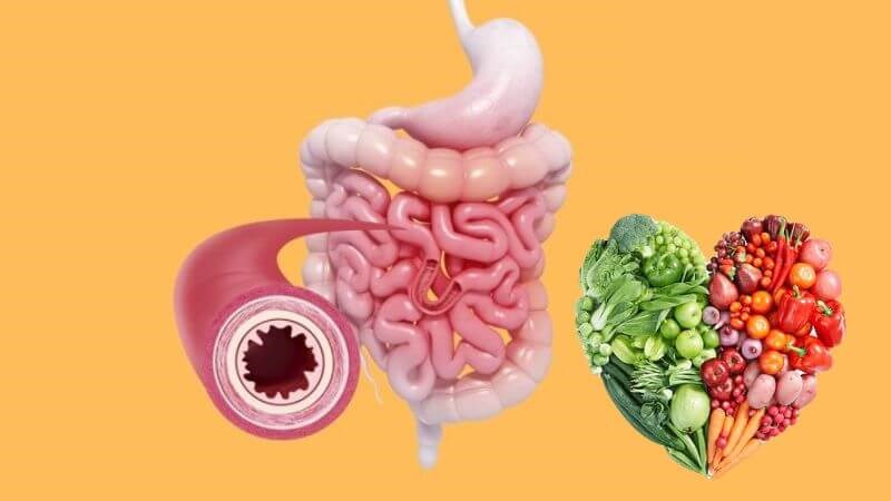 Vitamin B5 giúp hỗ trợ tiêu hóa