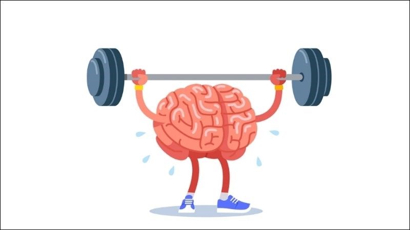 Vitamin B3 cũng giúp bảo vệ tế bào thần kinh và tăng cường chức năng não