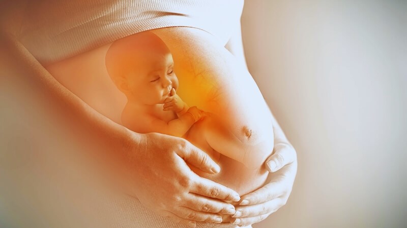 Bổ sung đầy đủ kẽm giúp thai nhi phát triển khỏe mạnh 
