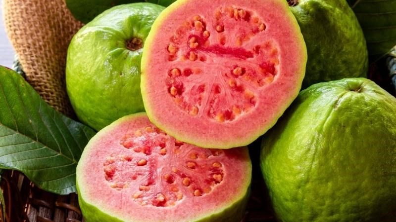 Ổi là một loại trái cây giàu Vitamin C