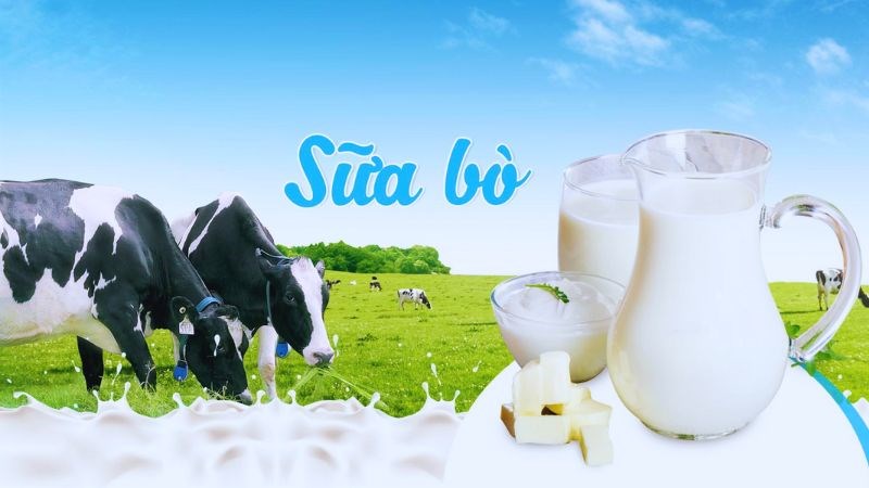 237ml sữa bò cung cấp 115 IU vitamin D, đáp ứng 15% nhu cầu mỗi ngày