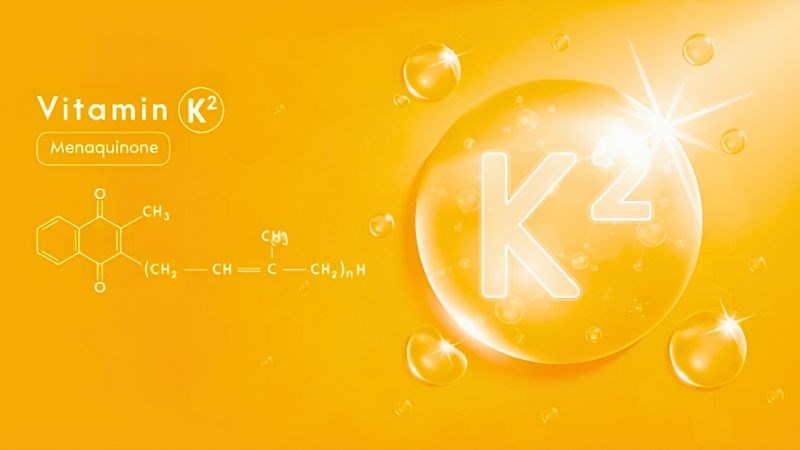 Vitamin K2 (menaquinone) l&agrave; một vitamin tan trong dầu 