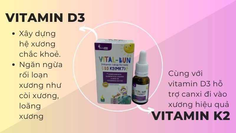 Vital Bun là thực phẩm chức năng cung cấp hai vitamin thiết yếu là D3 và K2