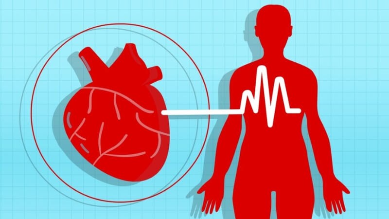 Lysine giúp điều chỉnh huyết áp về mức bình thường