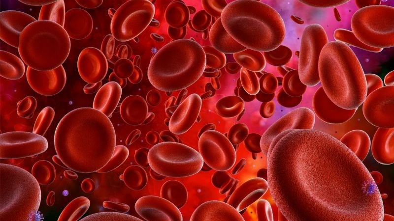 Trà sả được chứng minh giúp tăng sinh hồng cầu