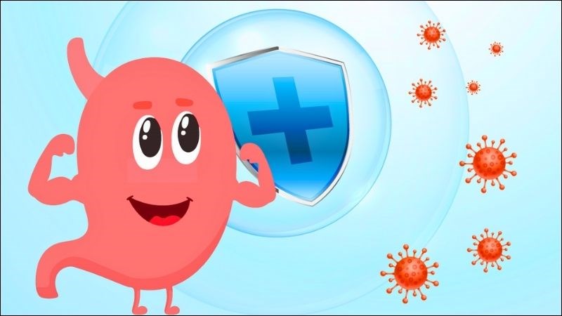 Beta Glucan hấp thụ nước và tạo chất gel trong ruột giúp bảo vệ niêm mạc ruột, dạ dày Beta Glucan hấp thụ nước và tạo chất gel trong ruột giúp bảo vệ niêm mạc ruột, dạ dày