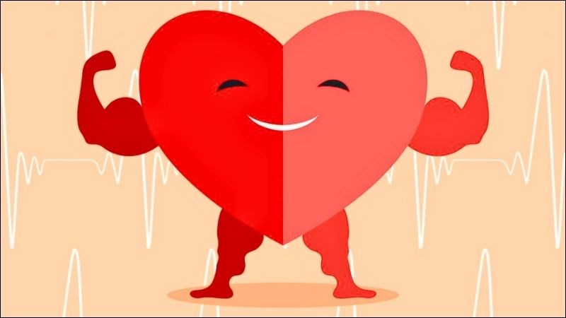 Beta Glucan bảo vệ sức khỏe tim mạch bằng cách ngăn chặn sự hấp thu cholesterol xấu Beta Glucan bảo vệ sức khỏe tim mạch bằng cách ngăn chặn sự hấp thu cholesterol xấu