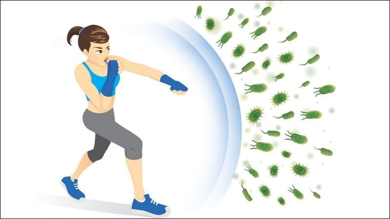 Beta Glucan kích thích tăng cường hệ miễn dịch tự nhiên Beta Glucan kích thích tăng cường hệ miễn dịch tự nhiên