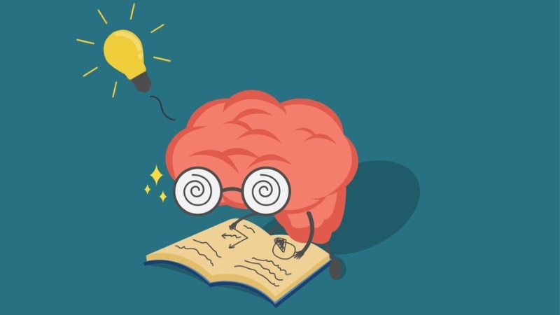 Ginkgo Biloba giúp tăng cường tuần hoàn máu não Ginkgo Biloba giúp tăng cường tuần hoàn máu não