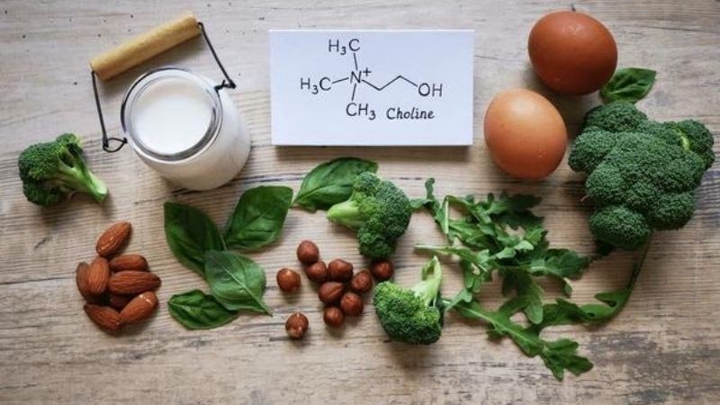 Choline đóng vai trò quan trọng trong việc hỗ trợ các chức năng của cơ thể