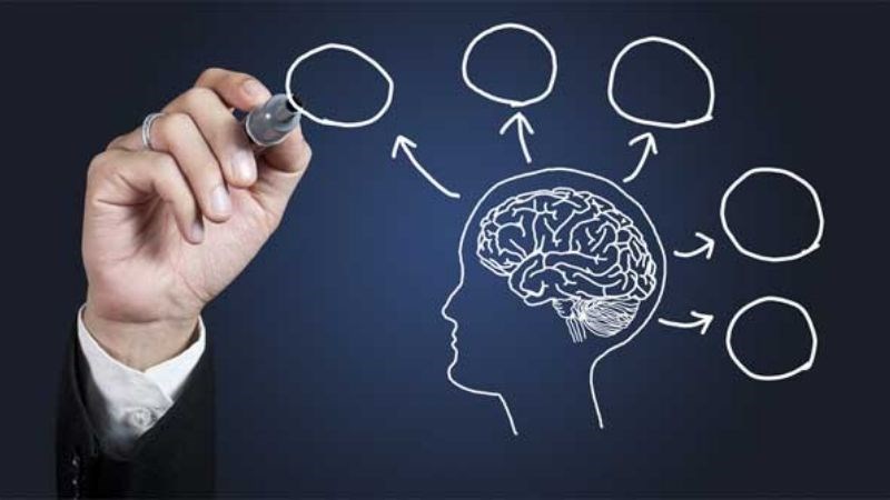 Choline đóng vai trò quan trọng trong sự hình thành và phát triển não bộ