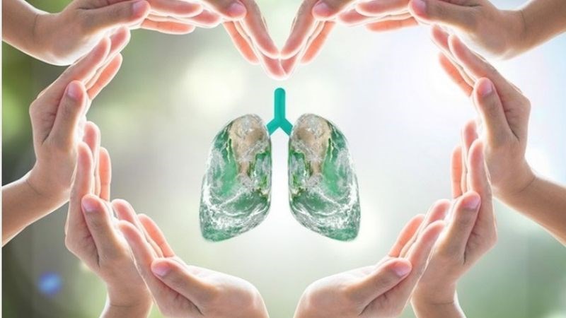 Một nghiên cứu cho thấy choline có khả năng cải thiện chức năng phổi khỏi xơ nang