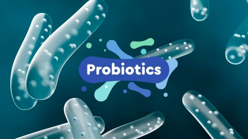 Men vi sinh là dược phẩm cung cấp vi khuẩn có lợi cho hệ đường ruột