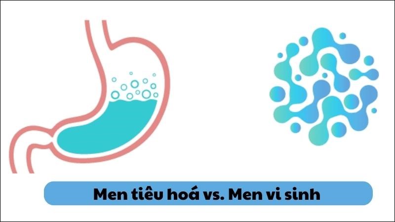 So sánh đặc điểm của men vi sinh và men tiêu hóa