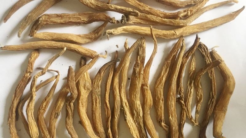 Bách bộ có thể được dùng dạng tươi, dạng thuốc sắc, nấu thành cao hoặc nghiền thành bột