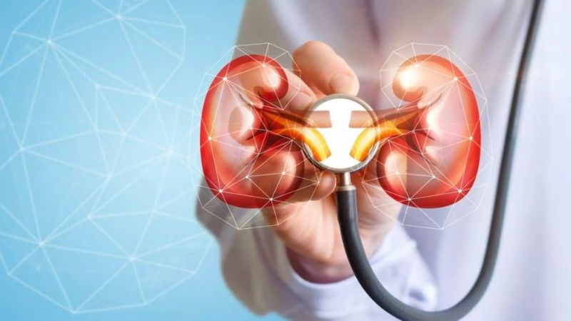 Citrate có trong chanh ngăn ngừa sự hình thành sỏi