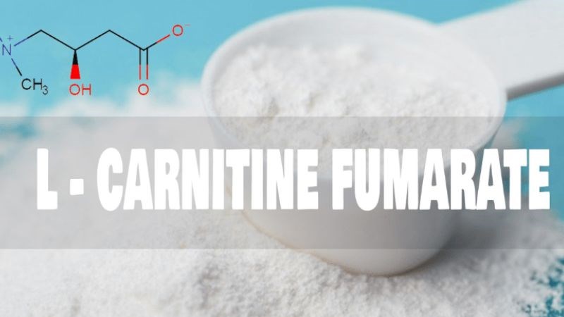 L-Carnitine là chất thay thế vai trò của Leucine