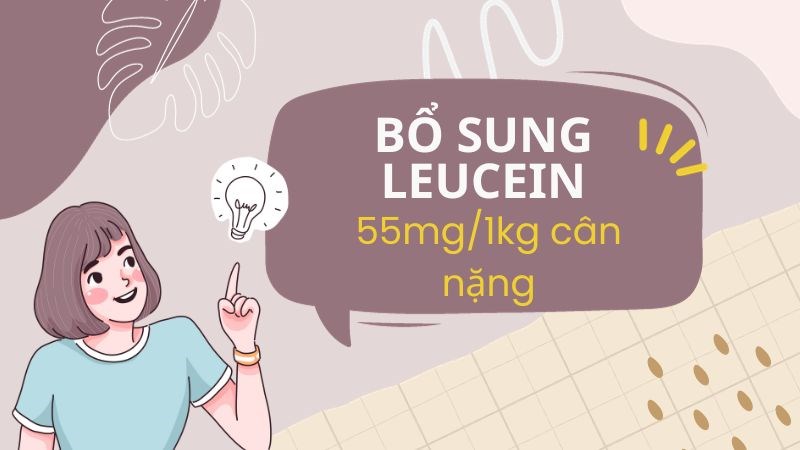 Bạn chỉ nên cung cấp lượng Leucine phù hợp với cơ thể