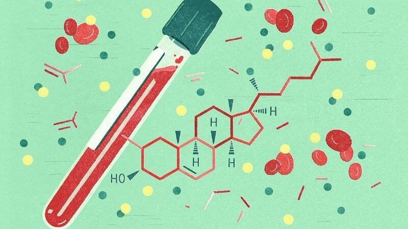 Chỉ số LDL-C cho biết lượng cholesterol