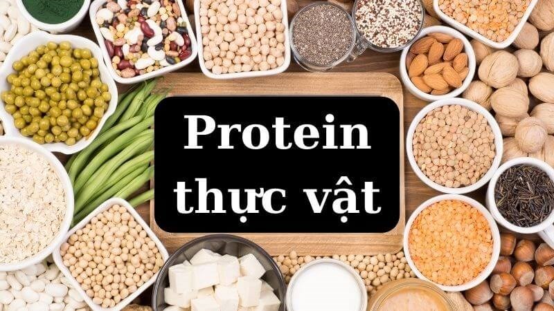 Bột protein thực vật có nguồn gốc từ nhiều loại thực vật khác nhau