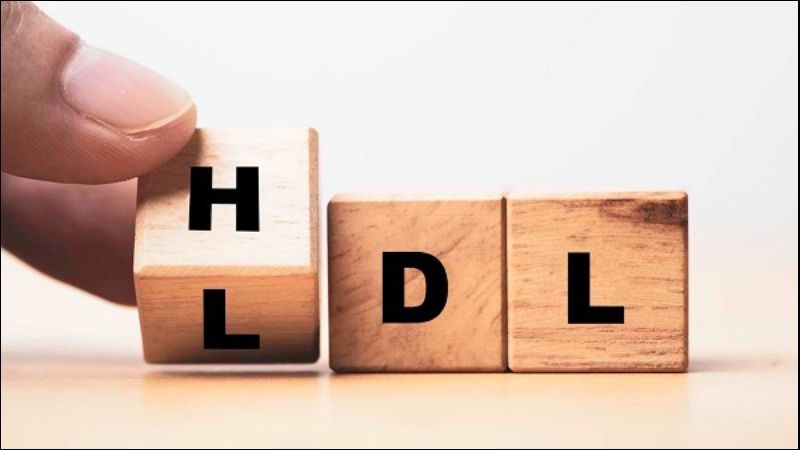 HDL là cholesterol tốt vận chuyển lipid thừa từ các cơ quan trở về gan