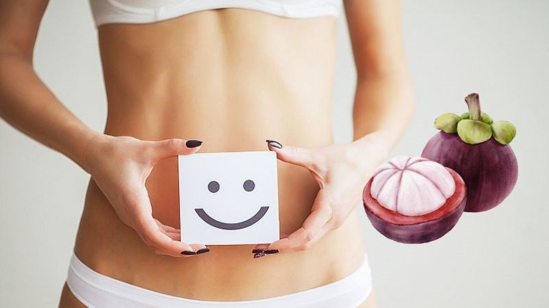Ăn măng cụt đều đặn giúp hệ tiêu hóa hoạt động tốt hơn