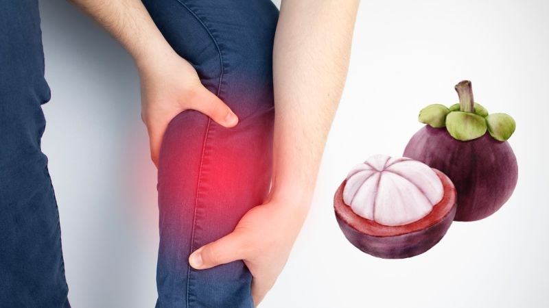 Các xanthones trong măng cụt có tác dụng chống viêm