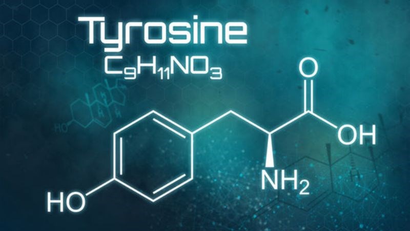 Tyrosine thuộc nhóm axit amin không thiết yếu