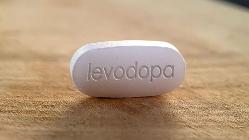 Tyrosine và Levodopa cạnh tranh hấp thu tại ruột
