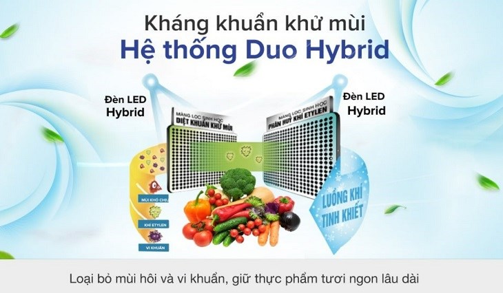 Tủ lạnh Toshiba Inverter 608 lít GR-AG66VA (XK) trang bị hệ thống khử mùi kháng khuẩn Duo Hybrid