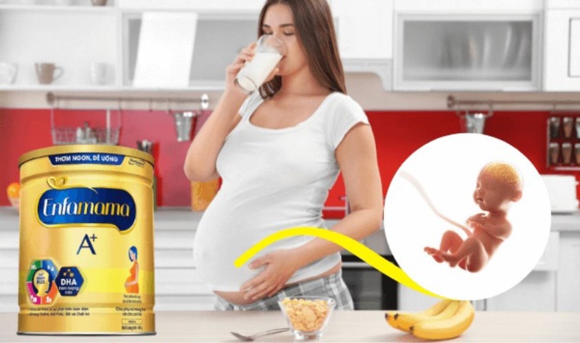 Enfamama là nguồn dinh dưỡng cho mẹ và bé trong quá trình thai kì và sau khi sinh Enfamama là nguồn dinh dưỡng cho mẹ và bé trong quá trình thai kì và sau khi sinh
