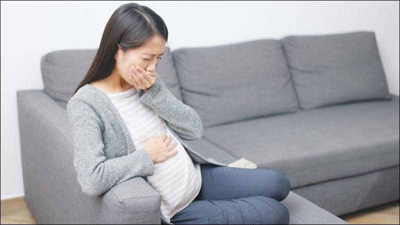 Nhân sâm được dùng trong bài thuốc trị tình trạng nôn mửa, đau bụng ở phụ nữ có thai